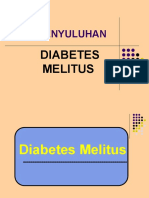 Penyuluhan: Diabetes Melitus