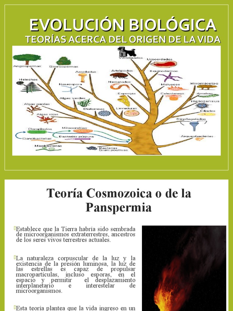 Teorías sobre el Origen de la Vida | PDF | Seleccion natural | Evolución
