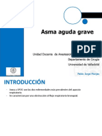 Asma Aguda Grave