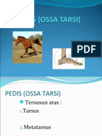 Pedis (Ossa Tarsi) Ke 5 6