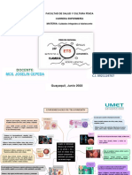 Enfermedades de Transmisión Sexual en Adolescentes