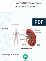 Zoom Lecture SMBT Powerpoint Presentation - Organs: Only For SMBT College