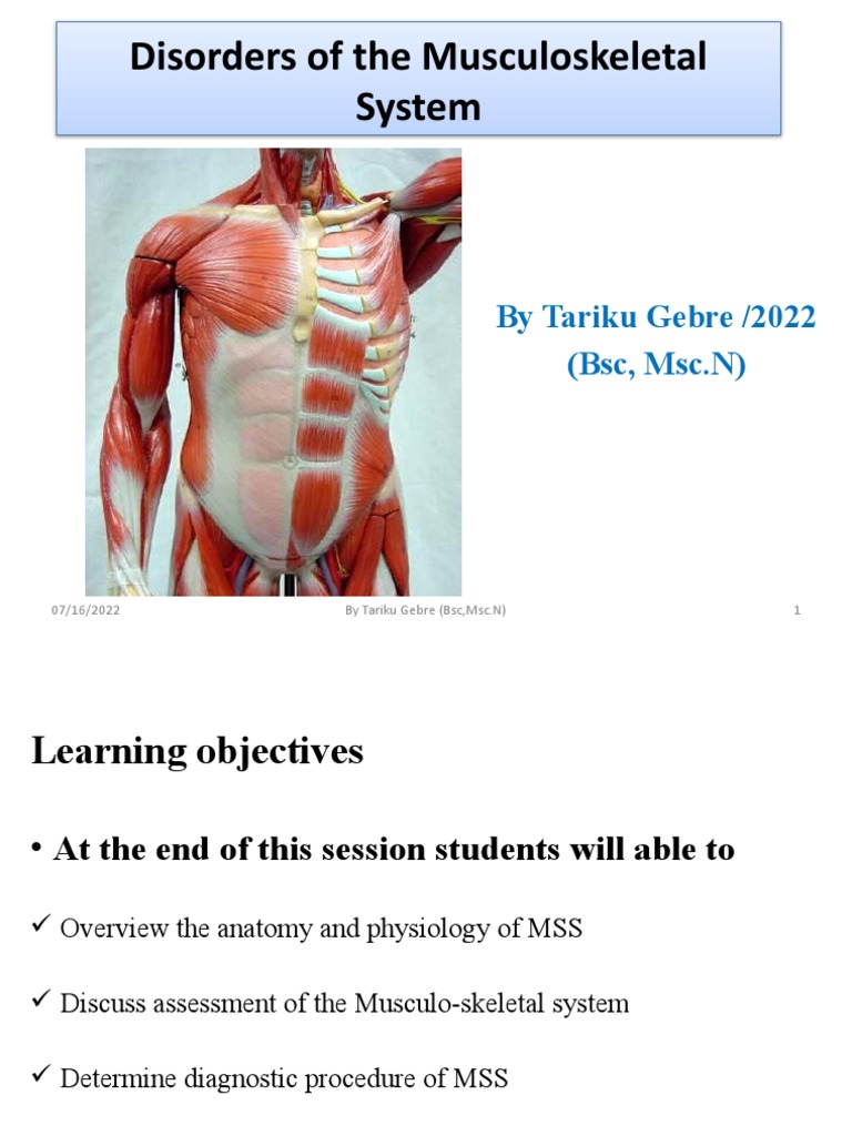 Musculoskeletal System Disorders Overview | PDF | Vitamin D ...
