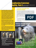 K9 Strenght Exercises Document