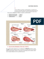 Tarea Materno 8