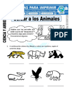 Cuidar A Los Animales para Segundo de Primaria