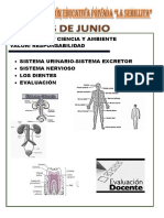 CIENCIA Y TECNOLOGIA 4 y 3 de Primaria