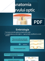 1.Anatomia nervului optic