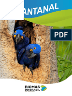 BIO - AP - Biomas Do Brasil - Pantanal