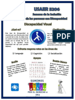 Infografia Discapacidad Visual