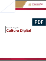 Recurso Sociocognitivo - Cultura Digital