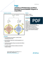 Flexible Reprogramming of Pristionchus Pacificus Motivation For Attacking Caenorhabditis Elegans in Predator-Prey Competition