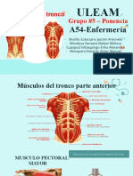 Ponencia Tronco Muscular G5 06072022