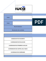 Sig-Ft-20 Informe de Simulacro