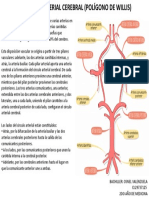 5 Anatomia El Polígono de Willis