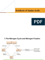 The Synthesis of Amino Acids
