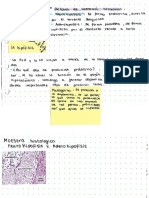 Sistema Endocrino Pt2