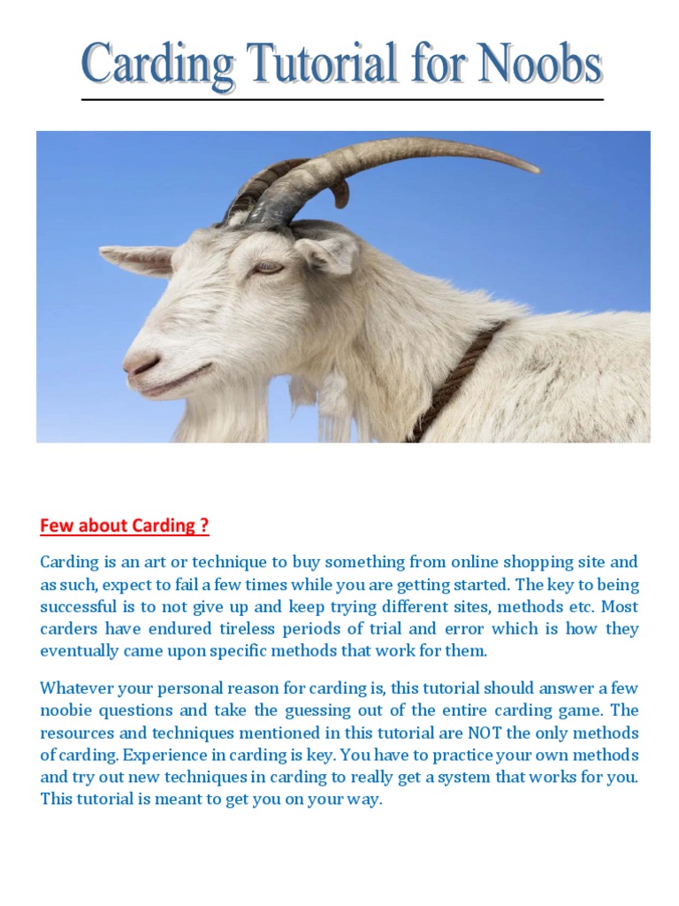 Carding For Beginners Pdf Computer Network Http Cookie