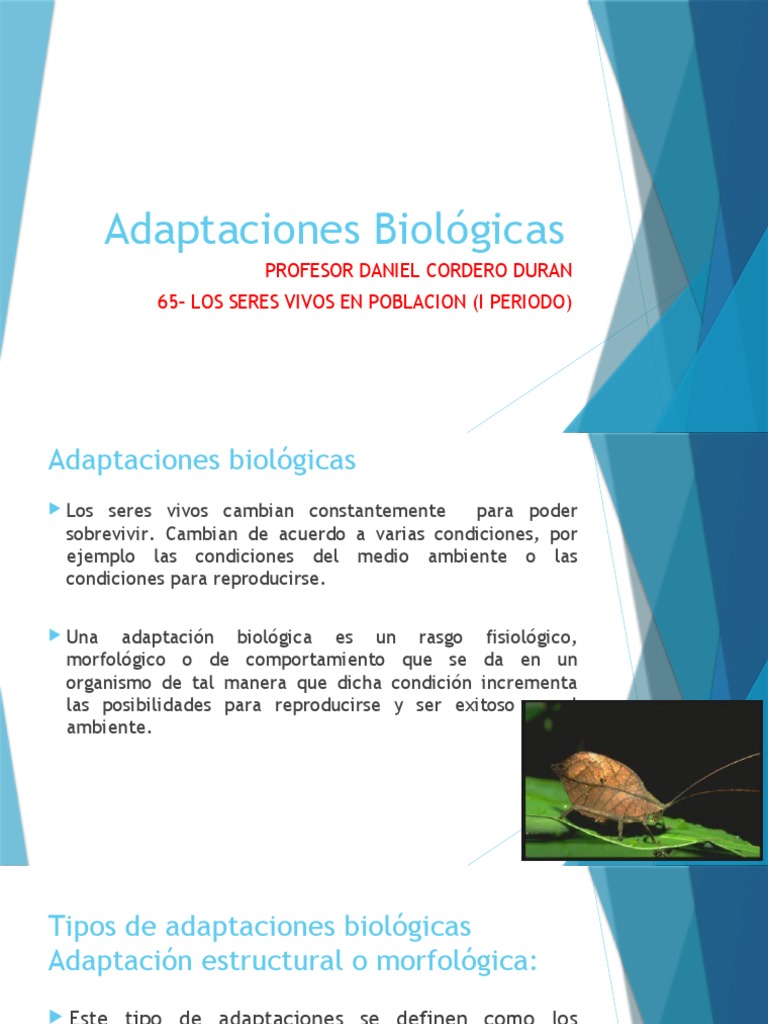 Adaptaciones Biológicas en Seres Vivos | PDF | Suelo | Mimetismo