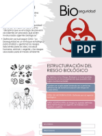 Bioseguridad Terminada