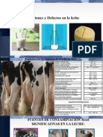 Alteraciones y contaminación bacteriana en la leche: causas y efectos