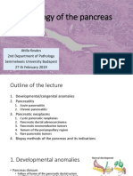 Pathology of the Pancreas Guide