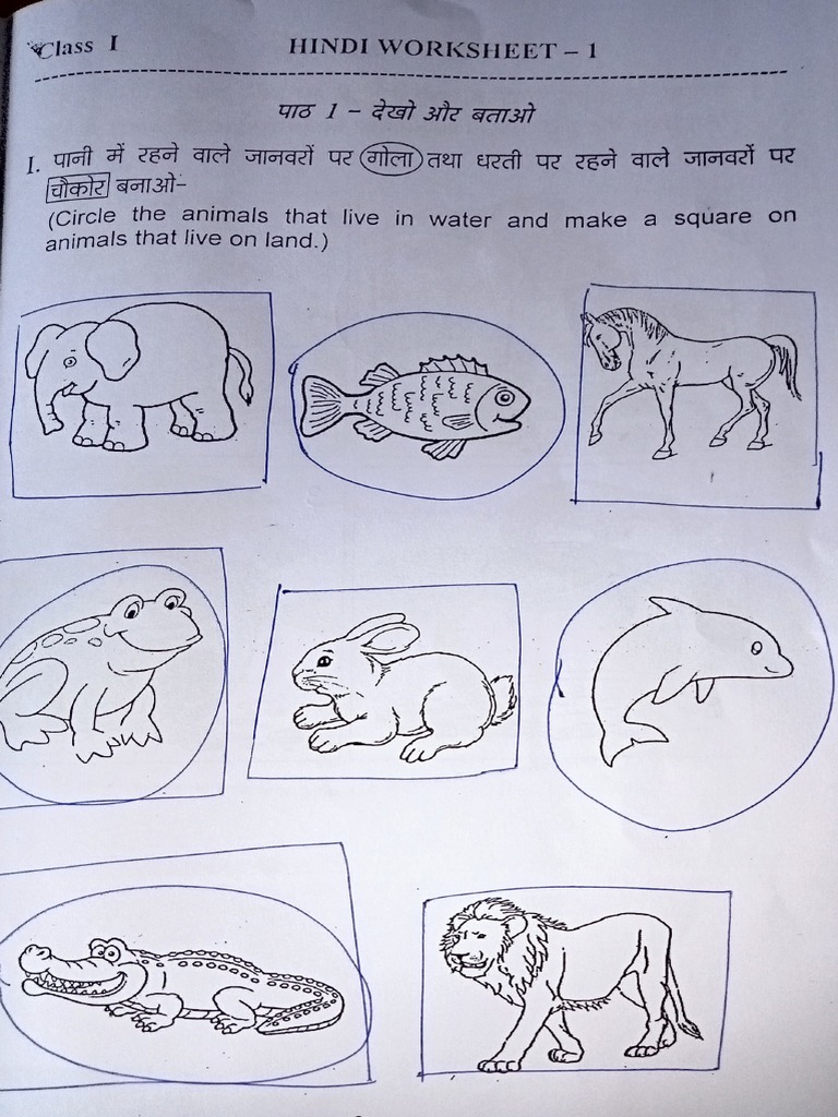 Question Paper Class 1 PDF