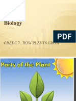 Biology: Grade 7 How Plants Grow