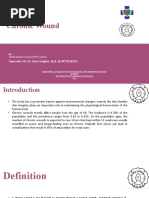 D.I.M.E.S. Wound Care Protocol Overview | PDF | Wound | Clinical Medicine