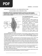 Lezione 2- 15_03_21
