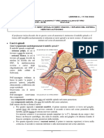 Lezione 3 - Anatomia 1