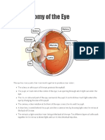 The Anatomy of The Eye