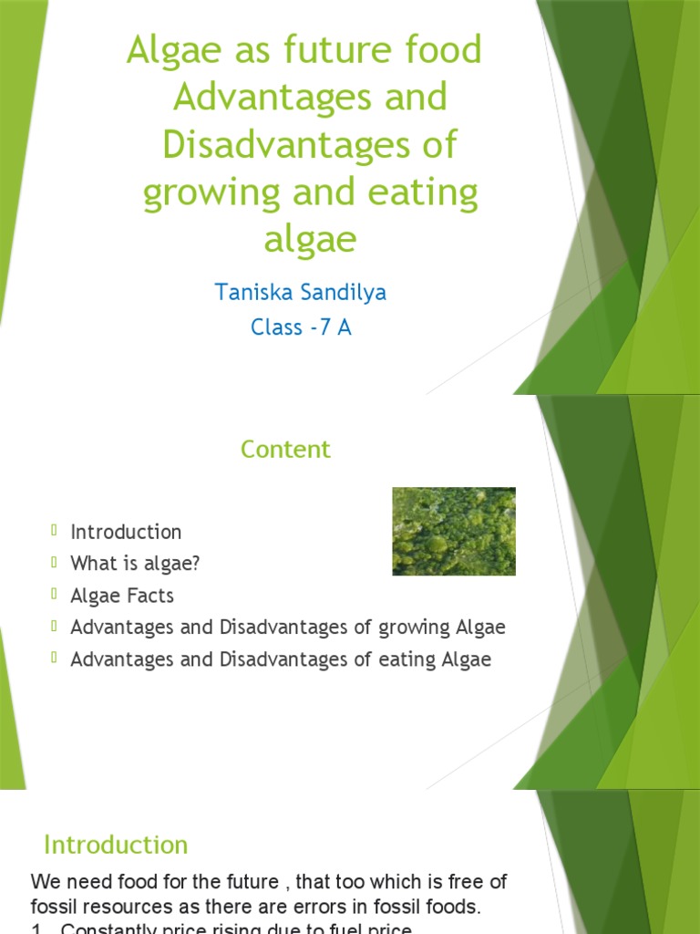 Algae As Future Food Advantages and Disadvantages of Growing and Eating