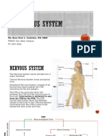 Chapter V Nervous System