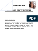 Curriculum Anny Chavez-1