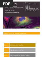 Cells, Tissues, Organisms Lecture 6: Major Components of Cells Dr. Mike Mcdonald Mike - Mcdonald@Monash - Edu