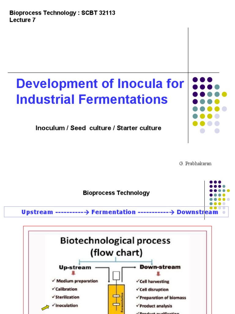 Development of Inocula For Industrial Fermentations: Bioprocess ...