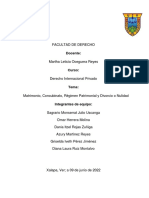 Ensayo - Matrimonio, Concubinato, Regimenes Patrimoniales y Divorcio o Nulidad