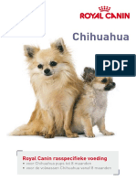Productinformatie Folder Royal Canin Chihuahua