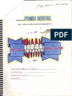 Guia de Anatomia Dentaria