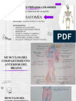 Anatomia 001 (1)