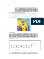 Tarea D Farmaco