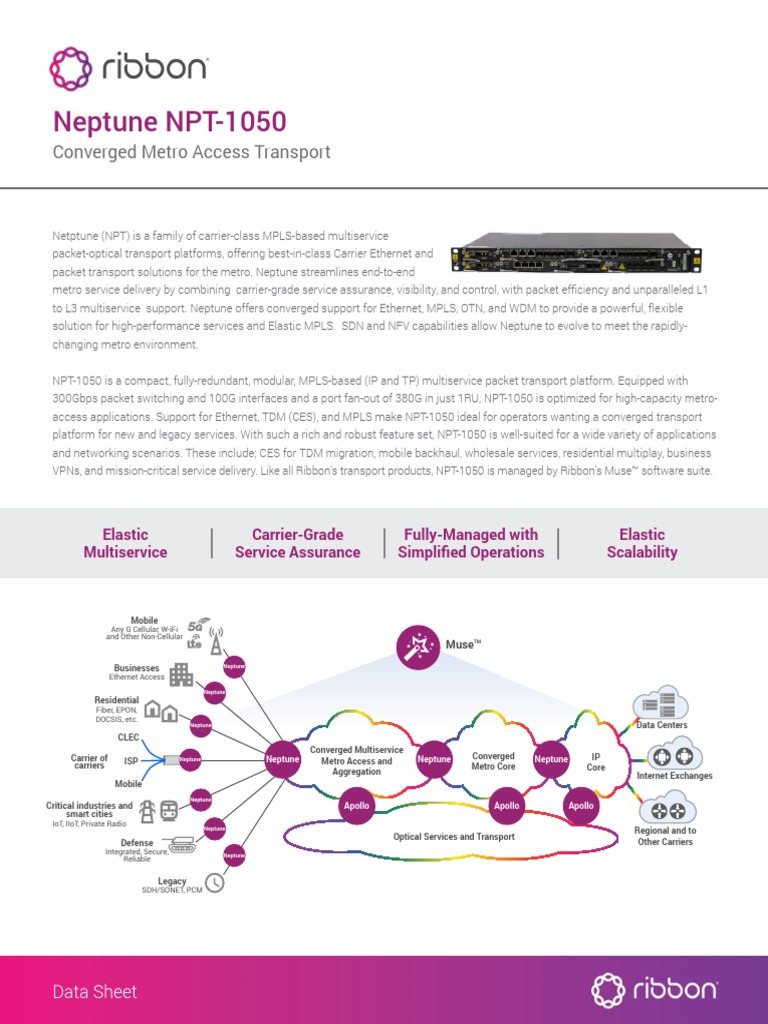 NPT-1050 Datasheet | PDF | Networking | Multiprotocol Label Switching