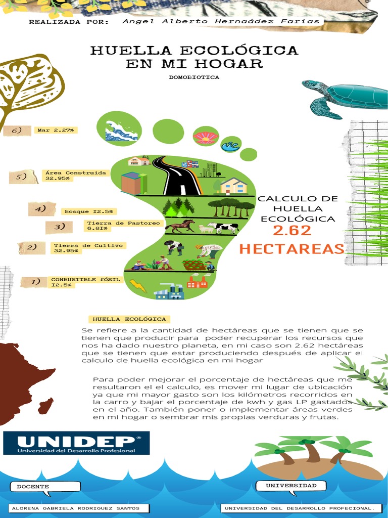 Infografia Calcula de Huella Ecologica | PDF