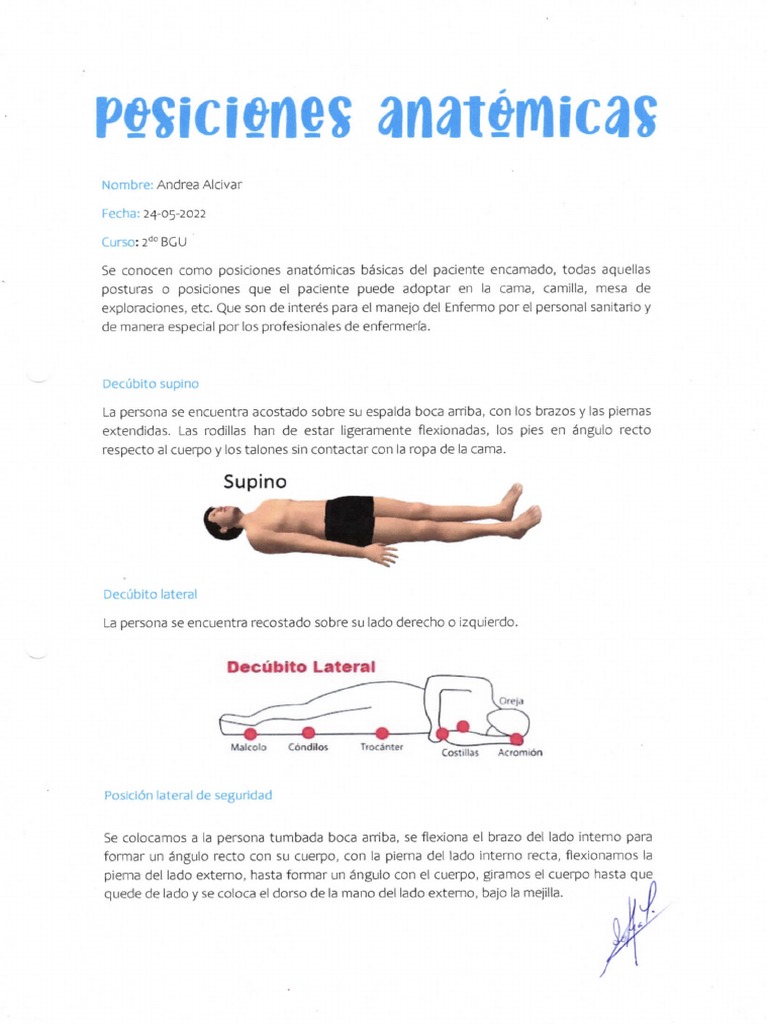Posiciones Anatomicas Básicas Pdf – XTYU