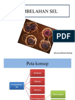 Pembelahan Sel 5584b715c40b7
