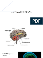 Sistema Hormonal