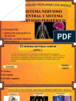 El Sistema Nervoso