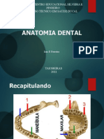 AULA Anatomia (Notação Dental)
