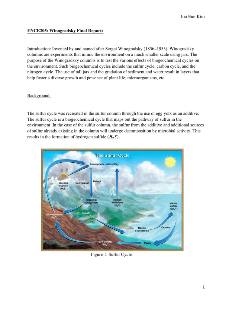 Winogradsky Columns Final Report PDF Redox Alkalinity